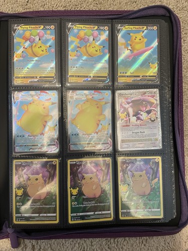 Pokemon raccoglitore moderno - raccoglitore,