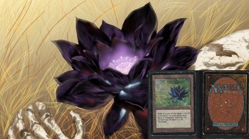 Carte magic the gathering - the, rare