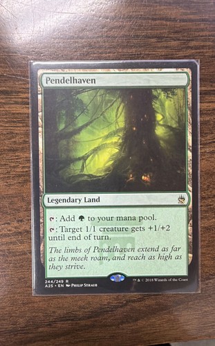 Pendelhaven masters - masters, 25